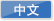 中文網(wǎng)站